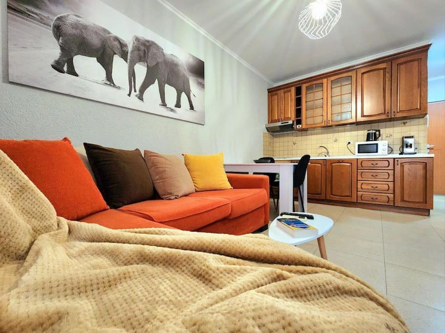 One Bd Flat Near Center With 24H Self Check In Apartment Тирана Екстериор снимка